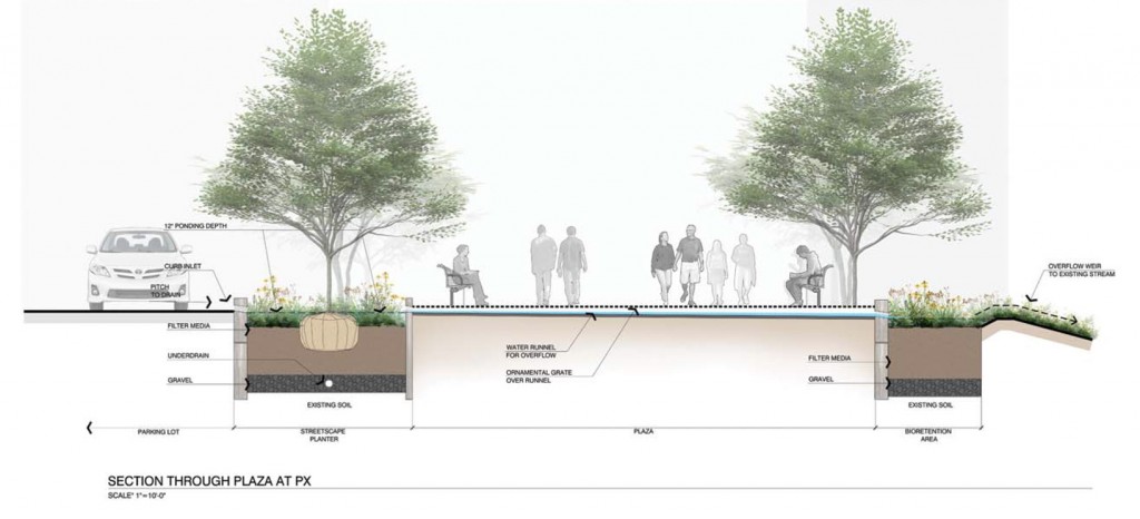 Stormwater-plantings-the-la-group